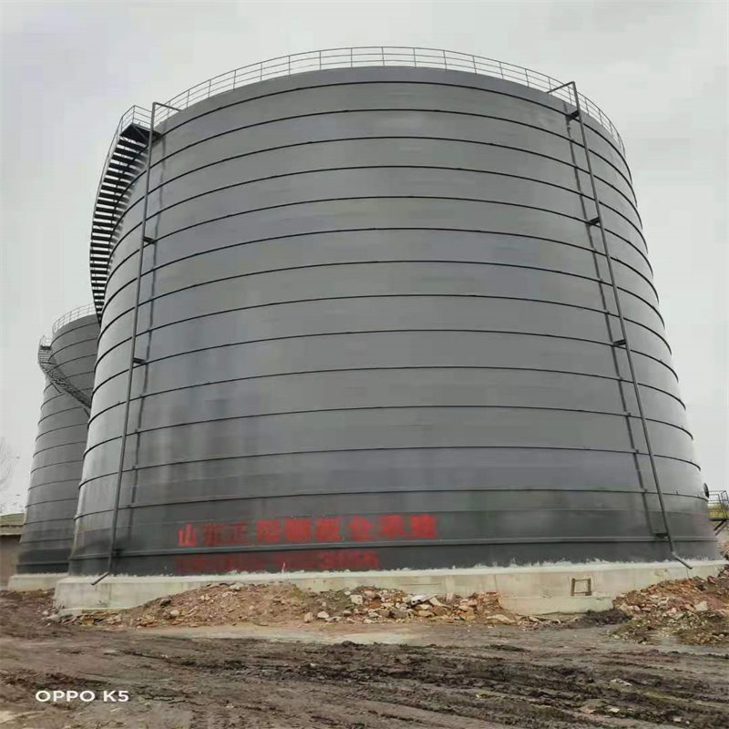 白马井镇3万吨大型钢板库