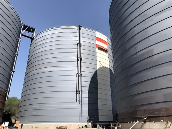 白马井镇焦粉仓